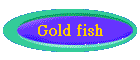 Gold fish