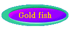 Gold fish